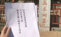 冰岛老寨茶树王拥有者赵玉学证实88万不是炒作是事实