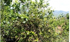 ح仯֮ͬ