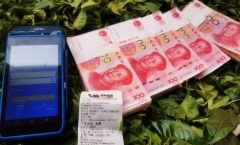 刚刚:云南冰岛茶尊茶王树单株普洱茶31万成交